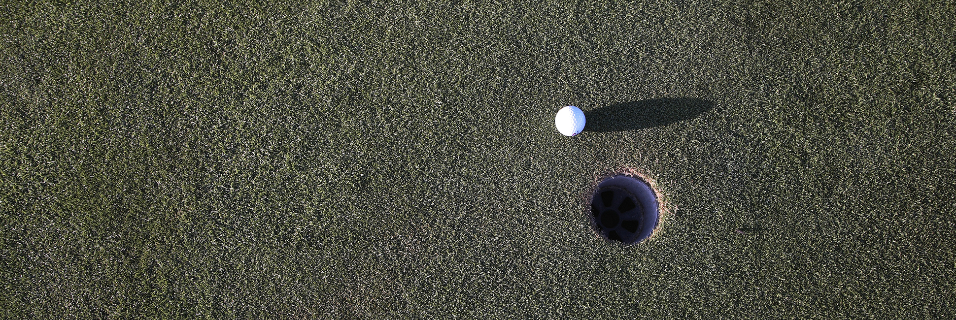 Image of golf ball on tee on grass.